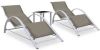 VidaXL Ligbedden 2 st met tafel aluminium taupekleurig online kopen