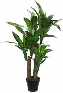 Mica Decorations Dracaena Kunstplant H110 cm